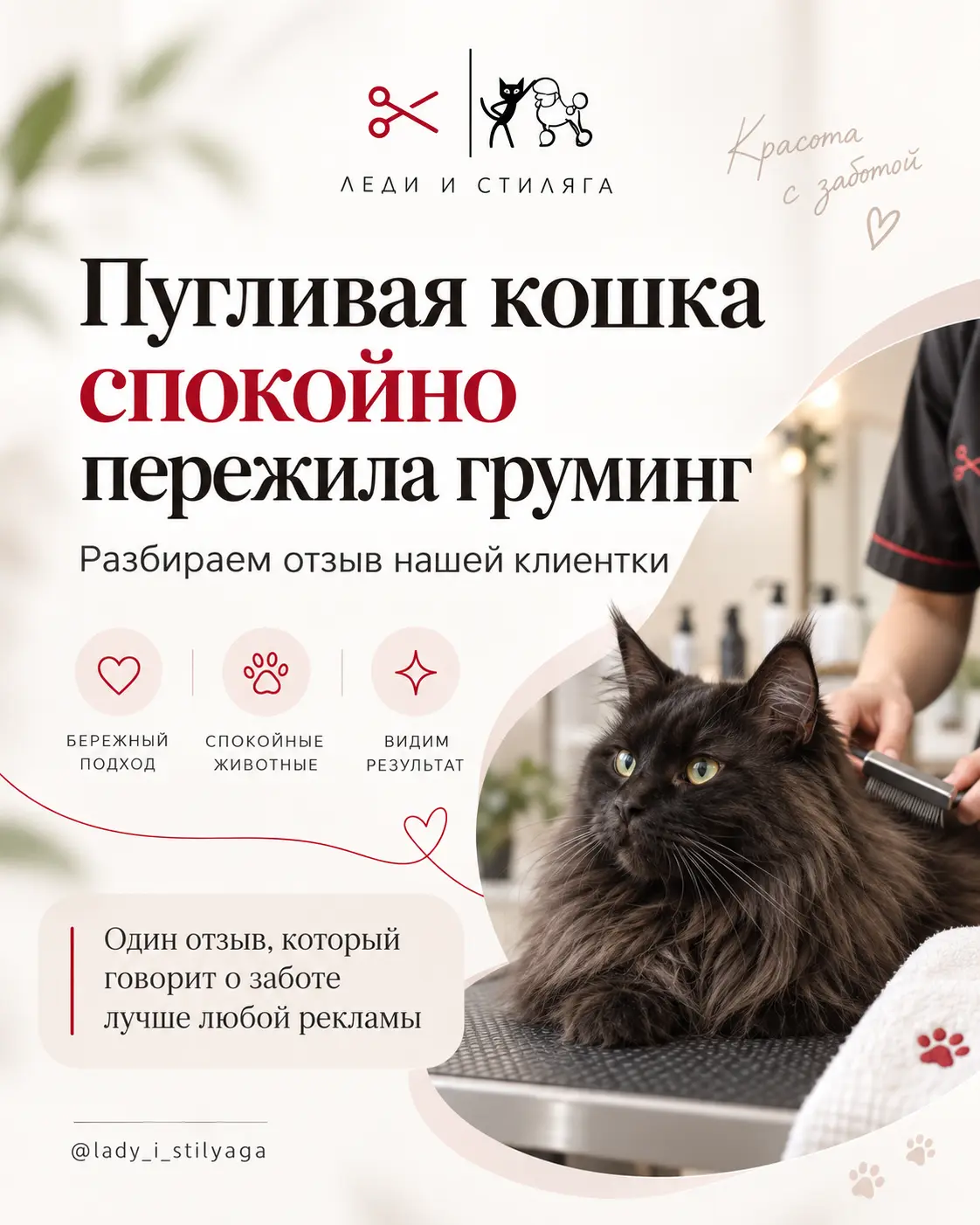 История о груминге кошки, слайд 1