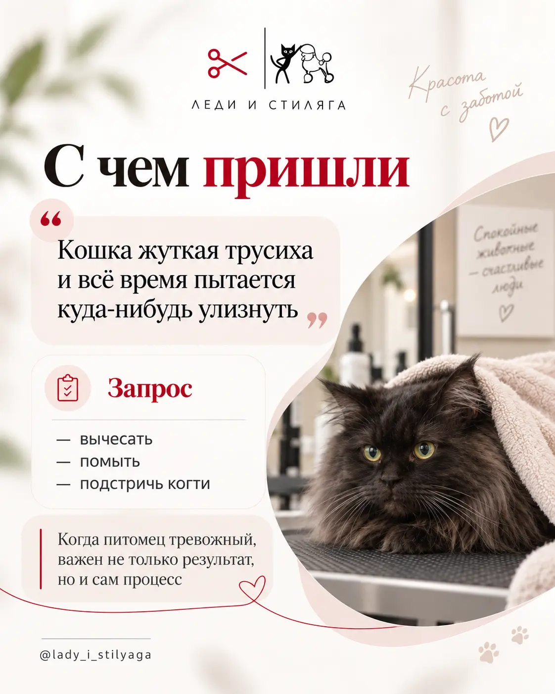 История о груминге кошки, слайд 2