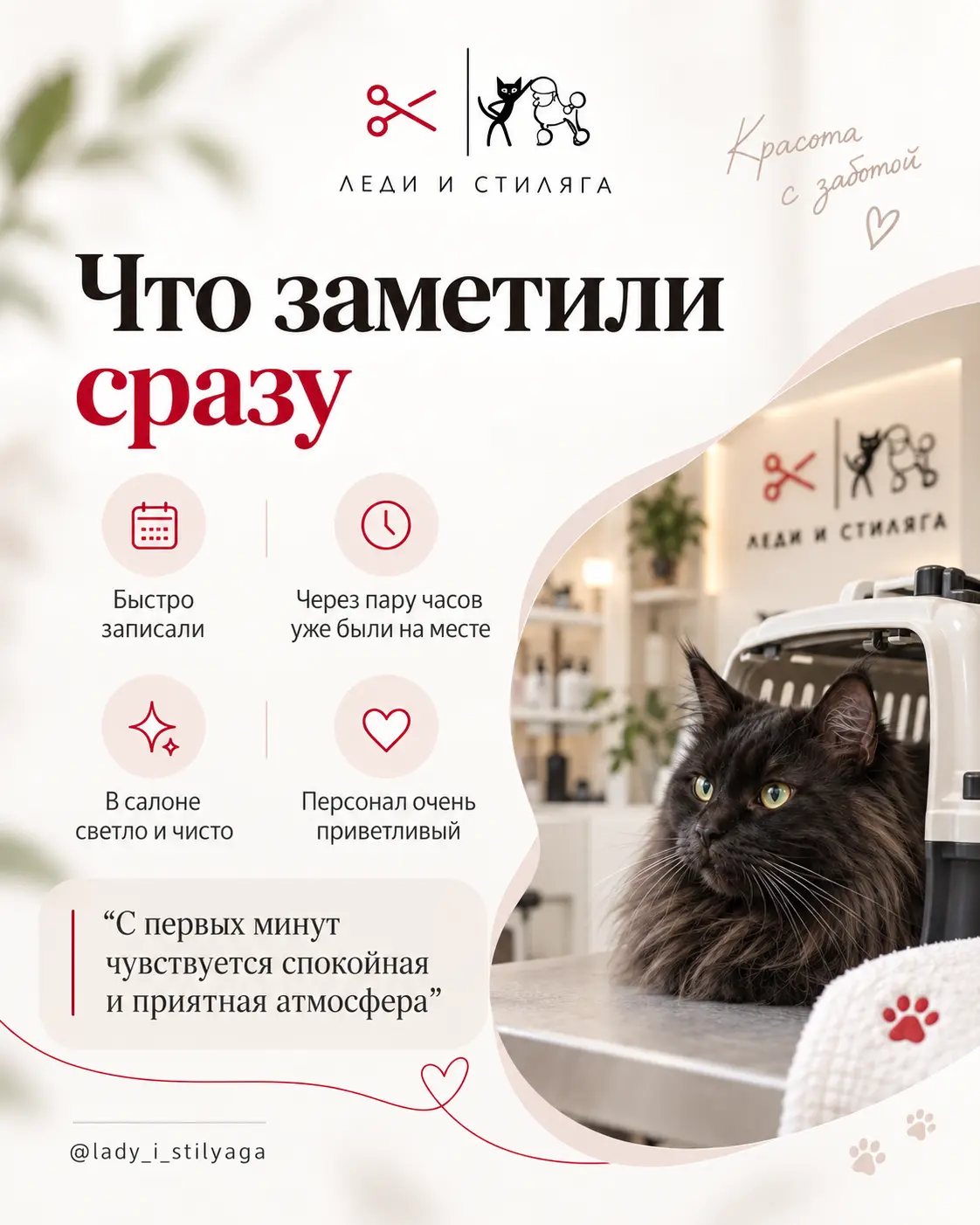 История о груминге кошки, слайд 3