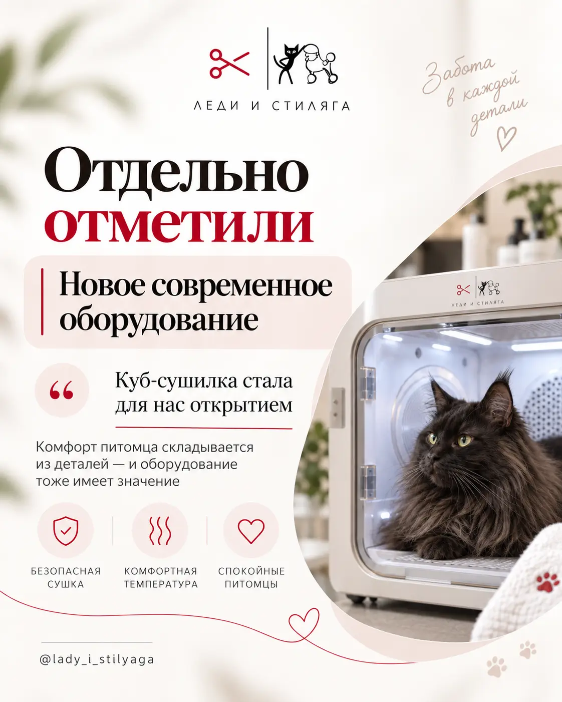 История о груминге кошки, слайд 4