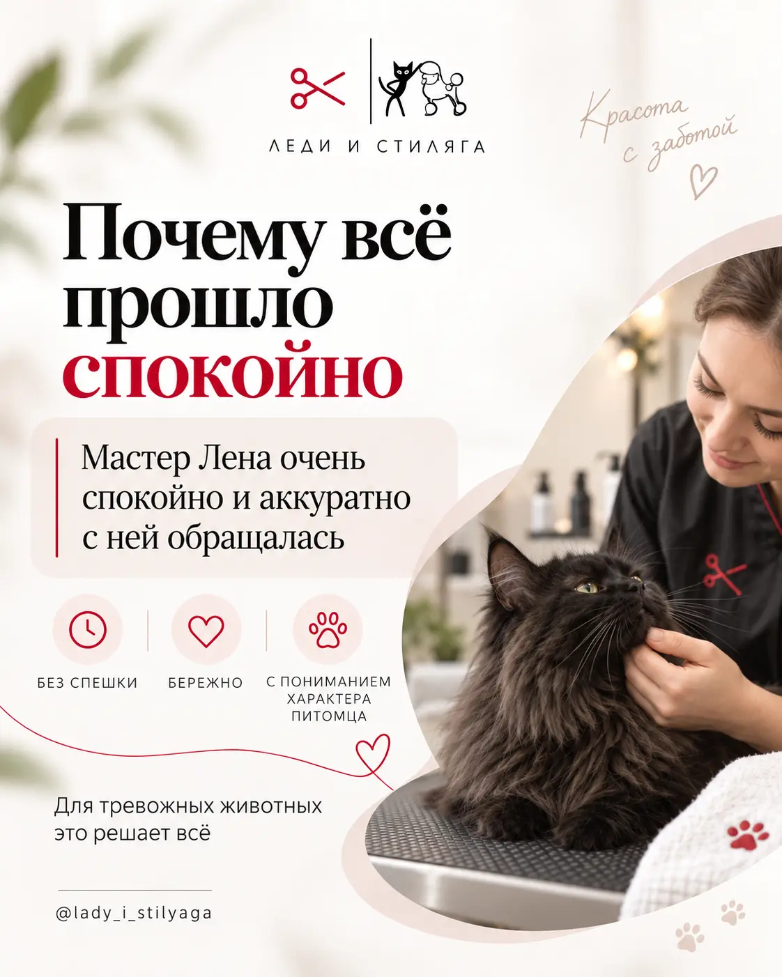 История о груминге кошки, слайд 5