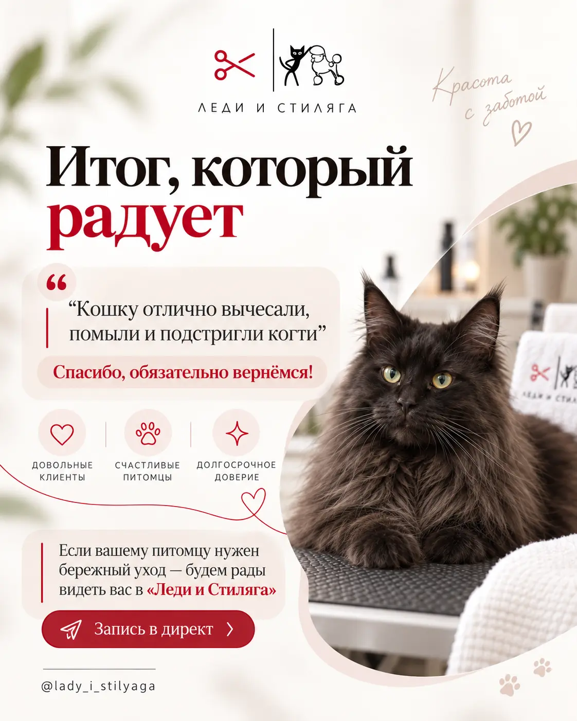История о груминге кошки, слайд 6