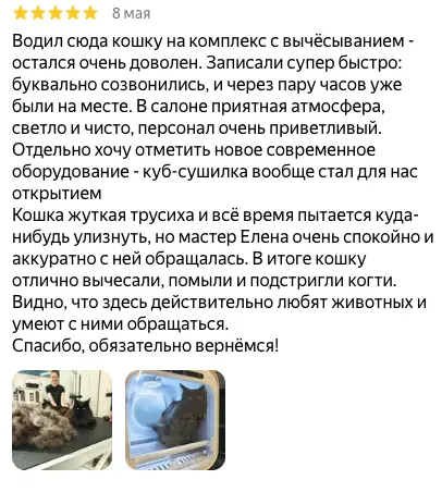 Скриншот отзыва клиента о груминге кошки